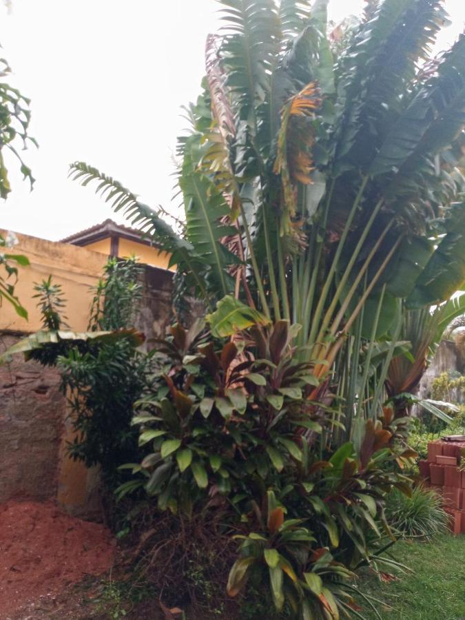 Zen Villas - Chales, Bem-Estar E Conexao Com A Natureza Лауру-ди-Фрейтас Экстерьер фото
