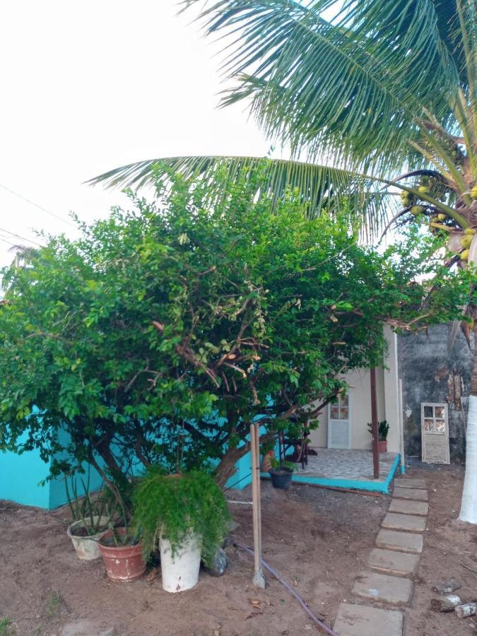 Zen Villas - Chales, Bem-Estar E Conexao Com A Natureza Лауру-ди-Фрейтас Экстерьер фото