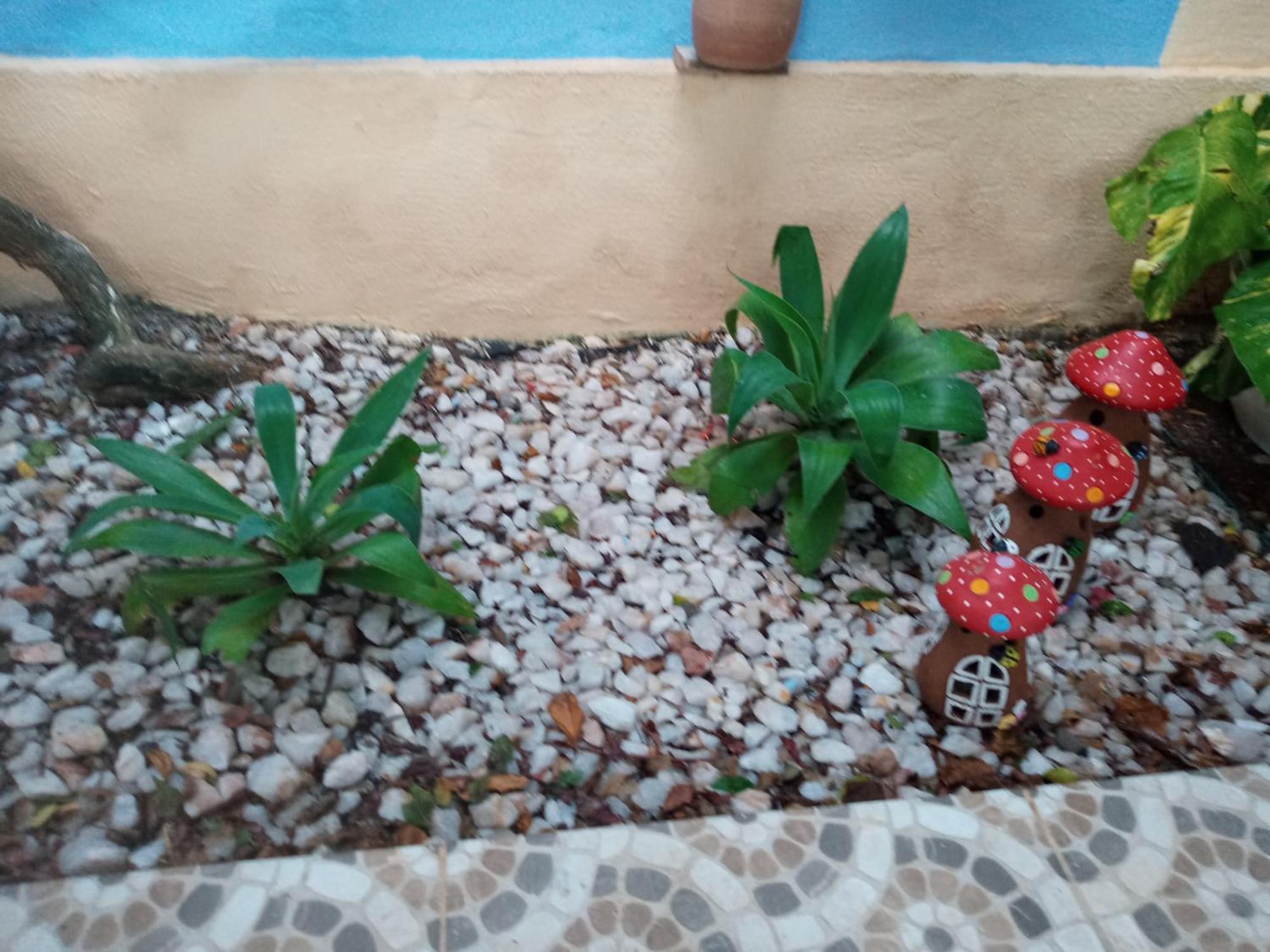 Zen Villas - Chales, Bem-Estar E Conexao Com A Natureza Лауру-ди-Фрейтас Экстерьер фото